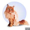 Hundestrände und Badeseen: Die hundefreundlichsten Spots in Deutschland