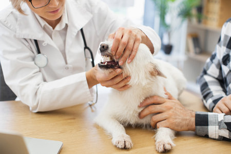 Spezielle Pflege älterer Ziervögel: Tipps zu Haltung und Ernährung
