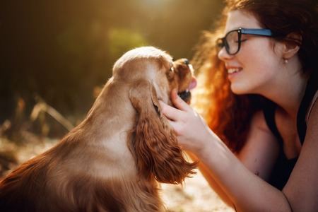 Transport und Reise mit Kleintieren: Sichere Unterbringung unterwegs und im Feriendomizil
